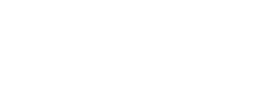 张书宇